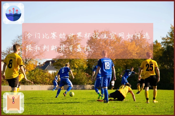冷门比赛的世界杯投注官网如何选择和判断其可靠性