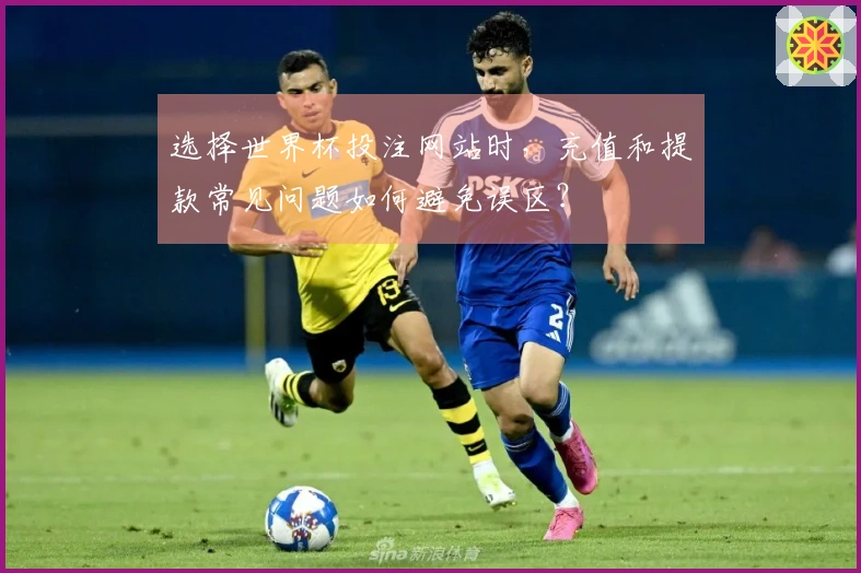 选择世界杯投注网站时，充值和提款常见问题如何避免误区？