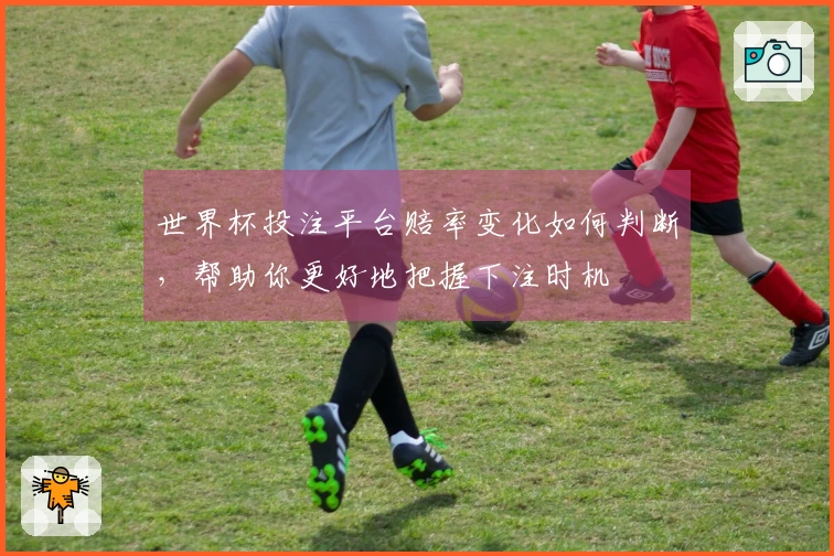 世界杯投注平台赔率变化如何判断，帮助你更好地把握下注时机