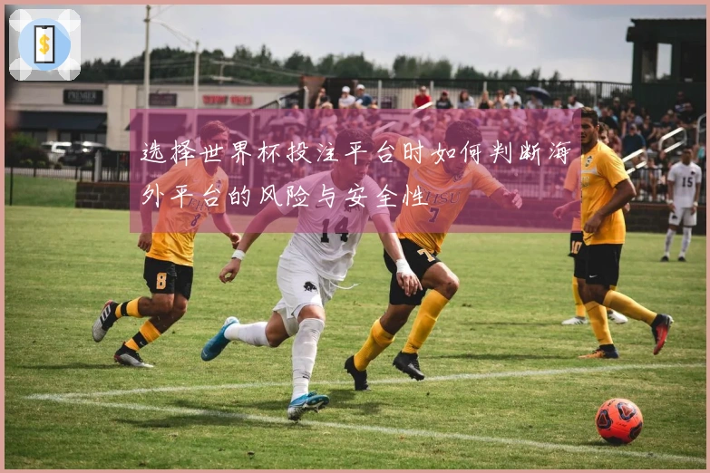 选择世界杯投注平台时如何判断海外平台的风险与安全性