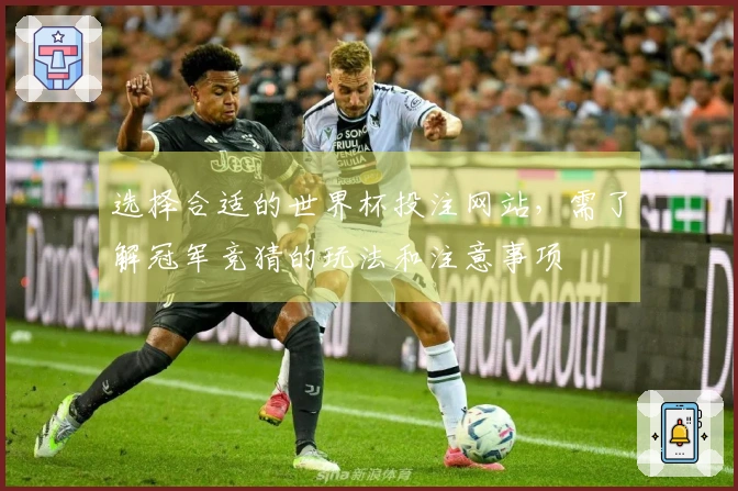 选择合适的世界杯投注网站，需了解冠军竞猜的玩法和注意事项