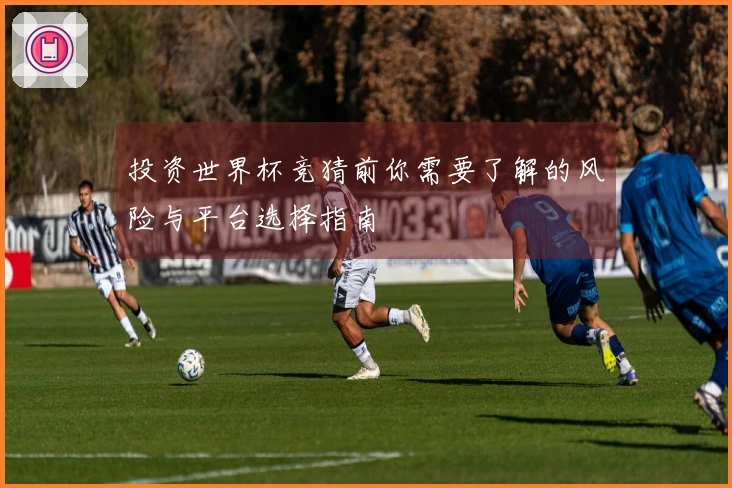 投资世界杯竞猜前你需要了解的风险与平台选择指南