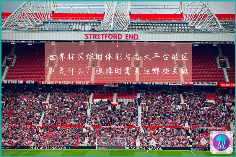 世界杯买球时体彩与各大平台的区别是什么？选择时需关注哪些关键因素？