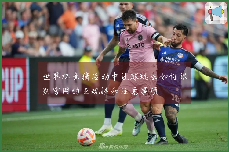 世界杯竞猜活动中让球玩法如何识别官网的正规性和注意事项