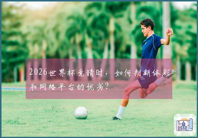2026世界杯竞猜时，如何判断体彩和网络平台的优劣？