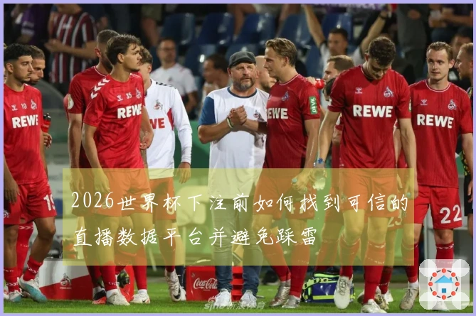 2026世界杯下注前如何找到可信的直播数据平台并避免踩雷