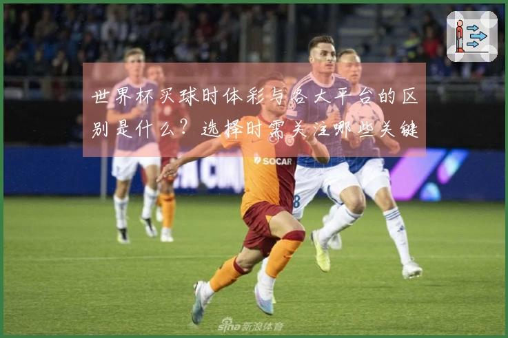 世界杯买球时体彩与各大平台的区别是什么？选择时需关注哪些关键因素？