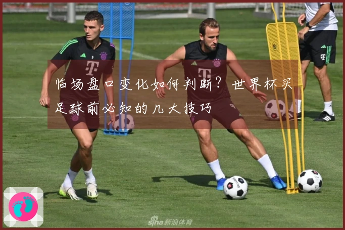临场盘口变化如何判断？世界杯买足球前必知的几大技巧