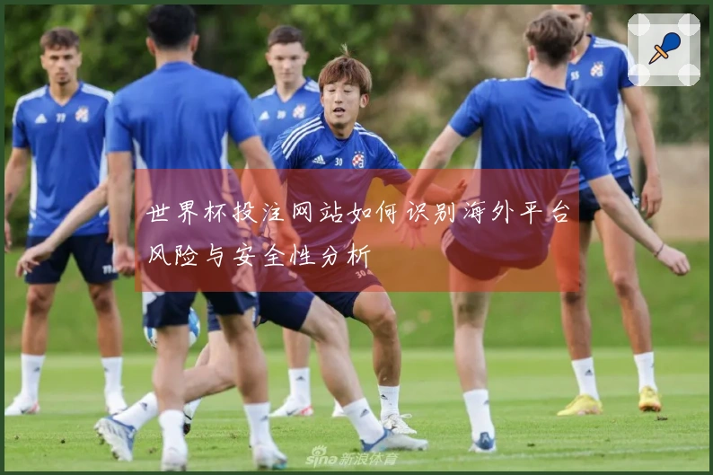 世界杯投注网站如何识别海外平台风险与安全性分析