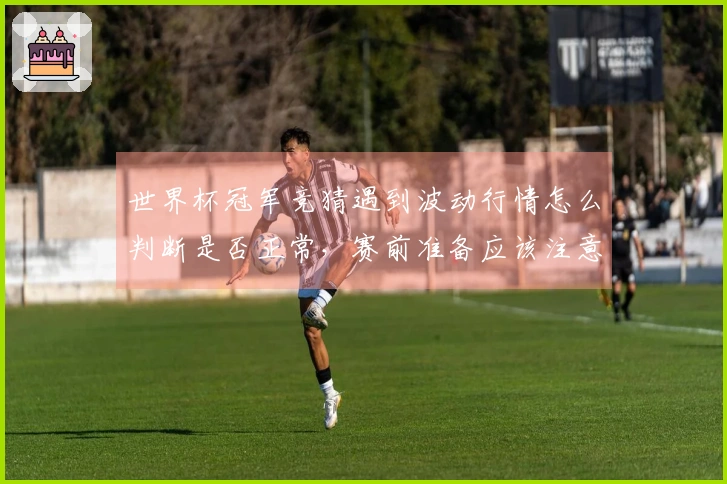 世界杯冠军竞猜遇到波动行情怎么判断是否正常，赛前准备应该注意哪些风险因素