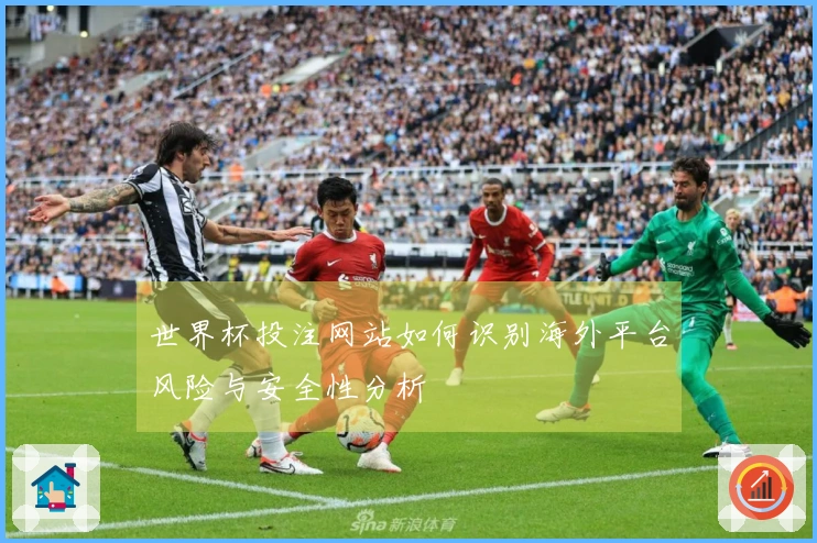 世界杯投注网站如何识别海外平台风险与安全性分析