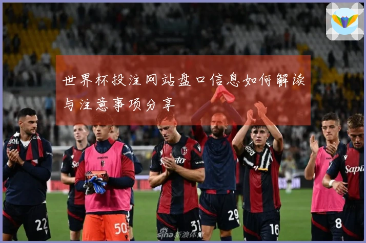 世界杯投注网站盘口信息如何解读与注意事项分享