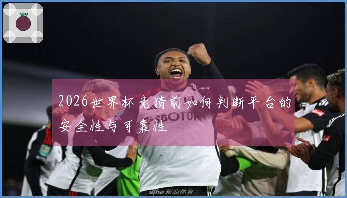 2026世界杯竞猜前如何判断平台的安全性与可靠性