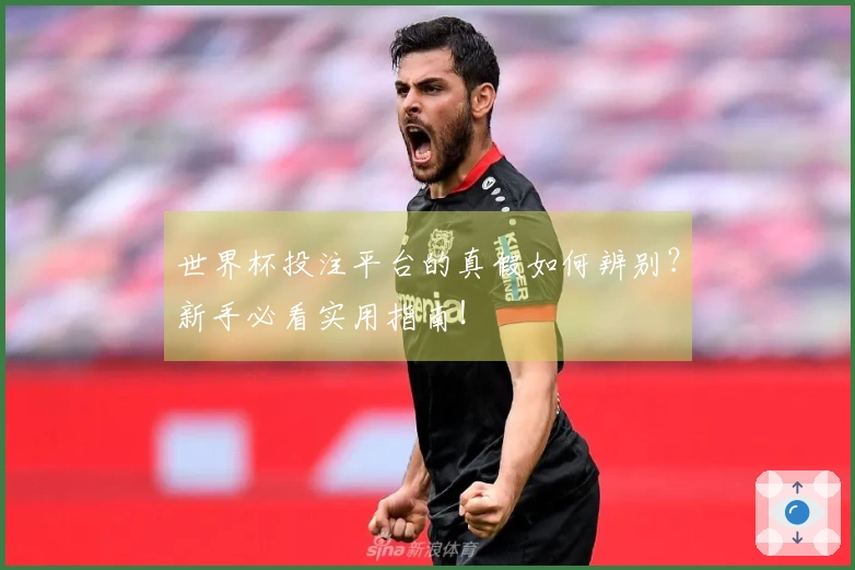 世界杯投注平台的真假如何辨别？新手必看实用指南！