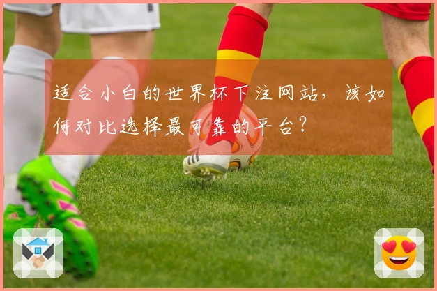 适合小白的世界杯下注网站，该如何对比选择最可靠的平台？