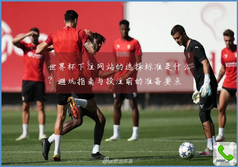 世界杯下注网站的选择标准是什么？避坑指南与投注前的准备要点