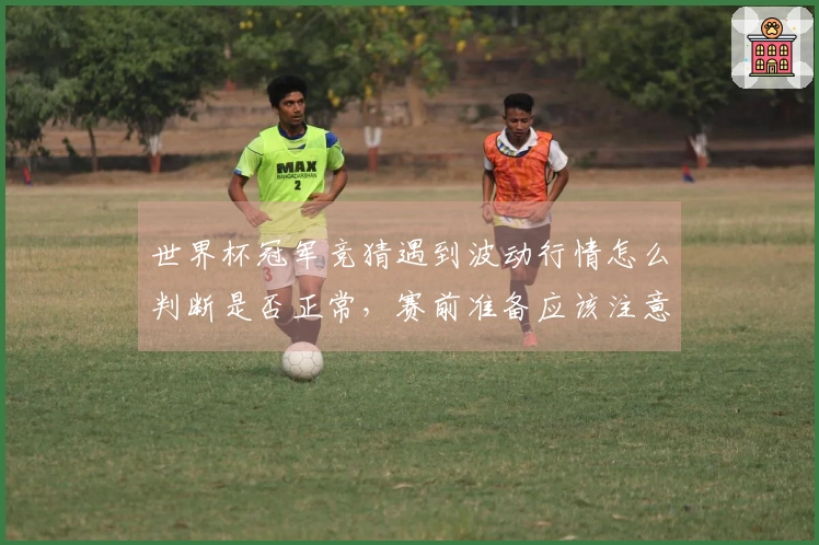 世界杯冠军竞猜遇到波动行情怎么判断是否正常，赛前准备应该注意哪些风险因素