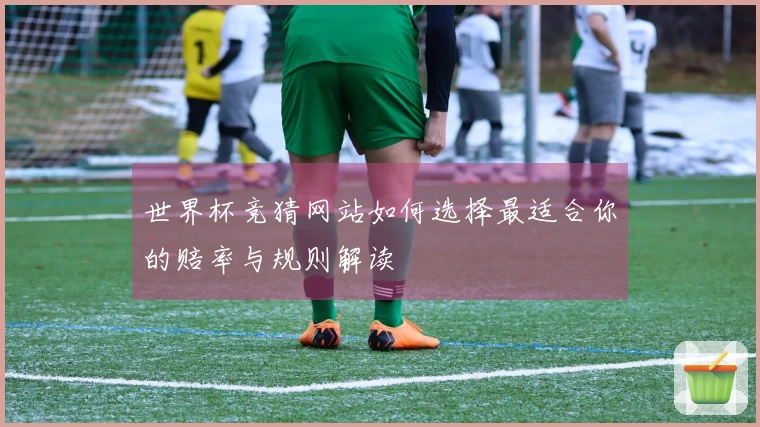 世界杯竞猜网站如何选择最适合你的赔率与规则解读